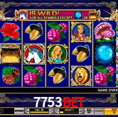 7753bet Rio de Janeiro - Professional Dealers